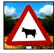 Possible case of mad cow disease on Menorca