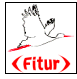 FITUR 2002