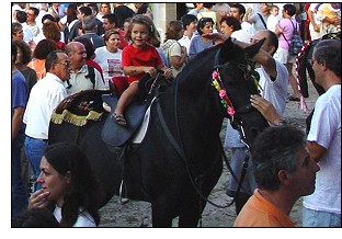 Menorcan Horse Fair