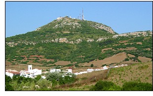 Agricultural and food fair in Es Mercadal