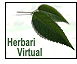 Herbs of the Islands on the Net